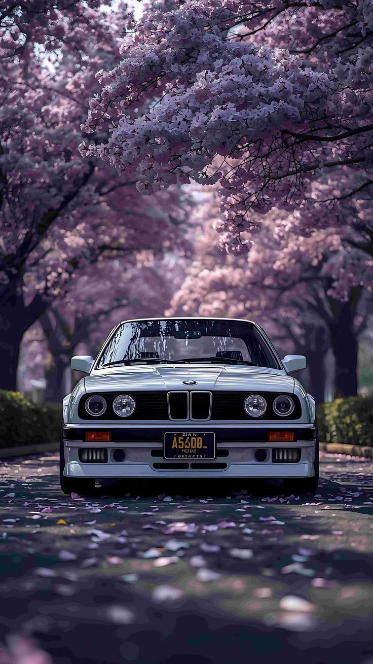 BMW wśród kwitnących drzew